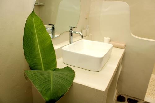a bathroom with a white sink and a large green leaf at Santai House in Tetebatu