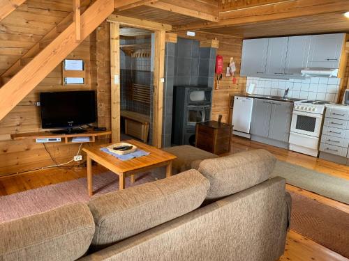 a living room with a couch and a television in a cabin at Mökki Aapola in Puumala