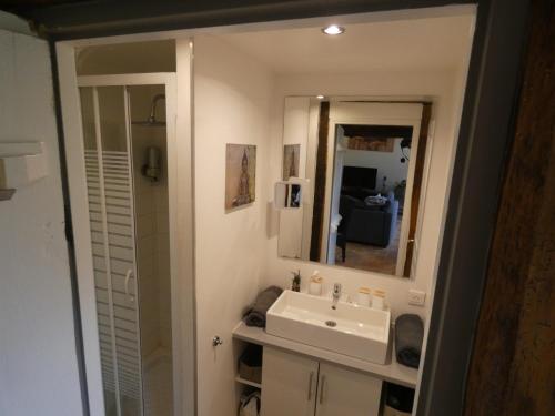 een badkamer met een wastafel en een spiegel bij La Closerie DAUVILLIERS in Roinville