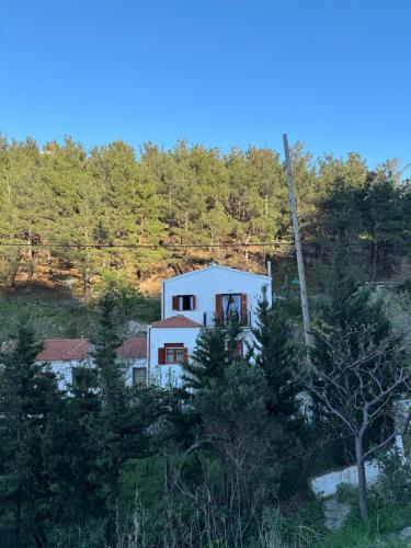 Φυσικό τοπίο κοντά σε αυτή η παραθεριστική κατοικία