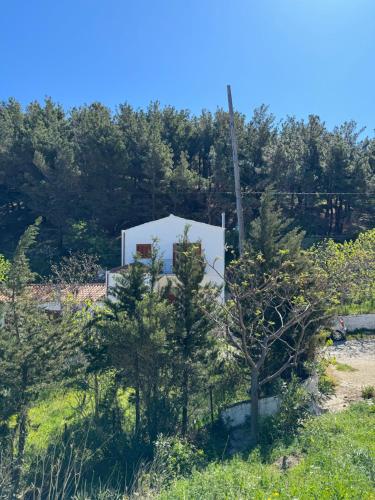 Φυσικό τοπίο κοντά σε αυτή η παραθεριστική κατοικία