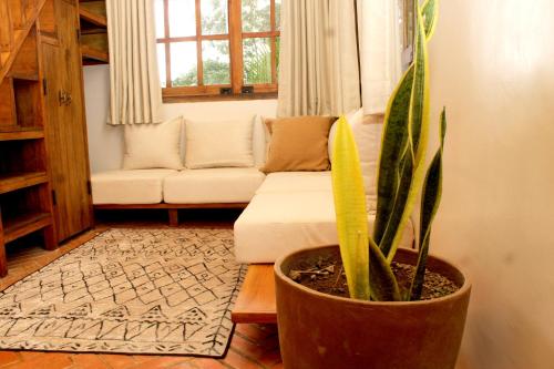 a living room with a couch and a potted plant at Santai House in Tetebatu