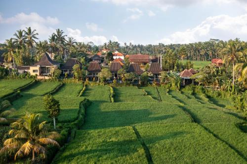 an aerial view of a resort in the middle of a field at Wooden Ganeca Villas by Pramana Villas in Ubud