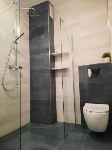 a bathroom with a toilet and a glass shower at Chabrowa Apartamenty 2 in Milicz