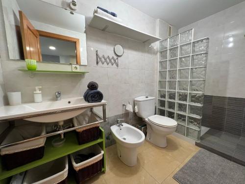 een badkamer met een toilet, een wastafel en een douche bij Apartamento Segrelles 22 in Canet de Berenguer