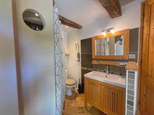 une salle de bain avec un lavabo, des toilettes et un miroir dans l'établissement LE MAS 5 étoiles SPA Saint Quenin-26 personnes- Accueil Familles et événements MONT VENTOUX PROVENCE, à Saint-Romain-en-Viennois