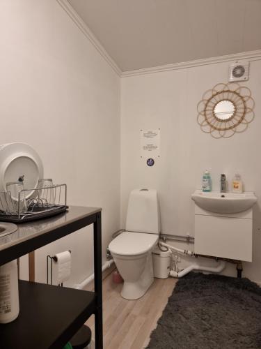 łazienka z toaletą i umywalką w obiekcie Guest House Tidaholm w mieście Tidaholm