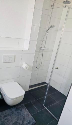 a bathroom with a shower and a toilet at Apartment Weikersheim IV in Weikersheim