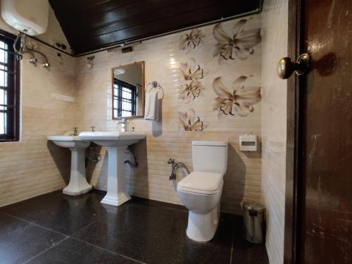 a bathroom with a toilet and a sink at Shimla British Resort in Shimla