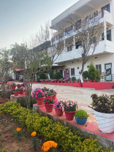un groupe de plantes en pot devant un bâtiment dans l'établissement Hotel Ravi And Shashi, à Netarhāt