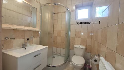a bathroom with a shower and a toilet and a sink at Apartament Rybacka 84m1 in Krynica Morska