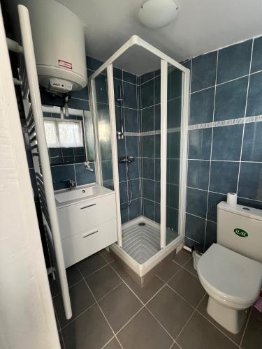 une salle de bain avec douche et toilettes dans l'établissement Lalyne- Maison de charme et son studio Trouville sur mer, à Trouville-sur-Mer