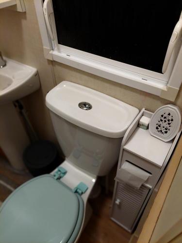 a small bathroom with a toilet and a sink at regent bay in Morecambe