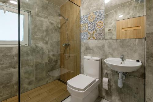 ein Bad mit einem WC, einem Waschbecken und einer Dusche in der Unterkunft Brzozowa Zatoka Brenno in Brenno