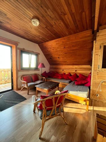 un salon avec un lit et un canapé dans l'établissement Refuge de la banne, à Murat-le-Quaire