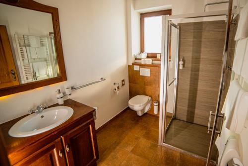 a bathroom with a toilet and a sink and a shower at Oravský Háj Garden Hotel & Resort in Trstená
