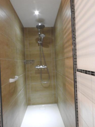 a bathroom with a shower with a glass door at Ferienwohnungen am Hauptplatz in Pirna