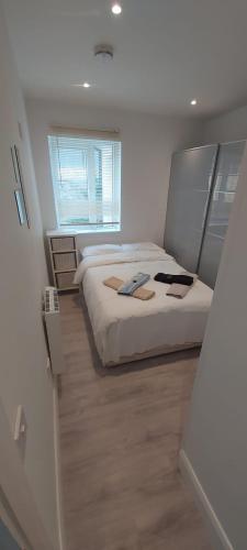 a bedroom with two beds and a window at Cosy One Bedroom Apartment Ballsbridge in Dublin