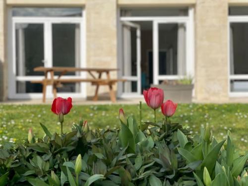 un grupo de tulipanes rojos delante de un banco en Le Cloître by Melrose, en Bayeux