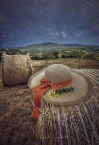 a straw hat with a red ribbon on a field at La Casa della Lavanda in Borgo Adorno