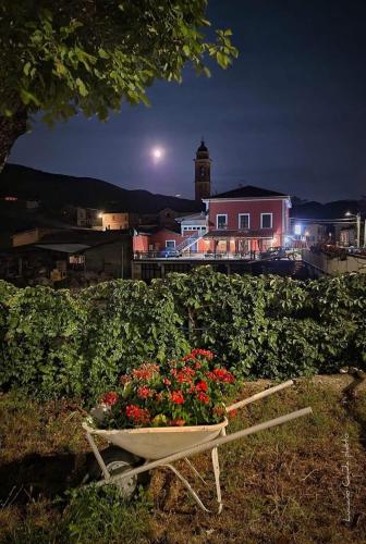 a chair with flowers sitting in a field at night at La Casa della Lavanda in Borgo Adorno