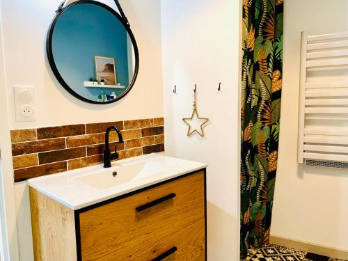 a bathroom with a sink and a mirror at Gîte Clair de Lune in Monts-sur-Guesnes
