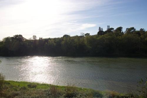 a body of water with trees in the background at *T2*Vue Garonne*Piscine*Garage* in Toulouse