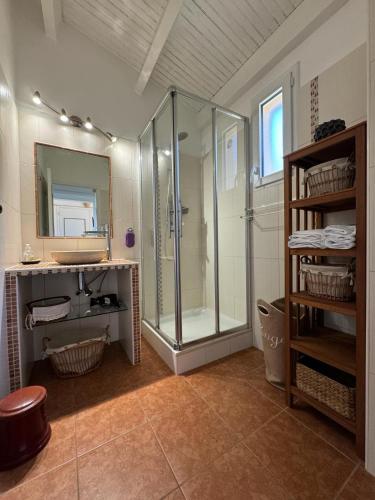 une salle de bain avec une douche, un lavabo et un miroir dans l'établissement Le Golfe d'Ajaccio - à 7 minutes de la plage, à Grosseto-Prugna