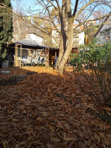 a pile of leaves in a yard with a tree at Ferienwohnungen am Hauptplatz in Pirna