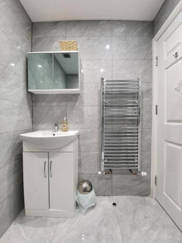 a bathroom with a sink and a mirror and a shower at Self-contained Guest Suite in Guildford