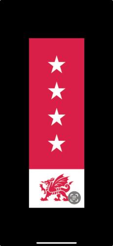 a flag with a red dragon on a black background at Pen Mar Guest House in Tenby