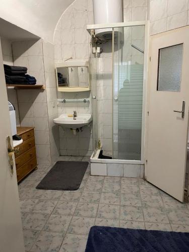 a bathroom with a shower and a sink at Gemütlich und Fein in Ebenfurth