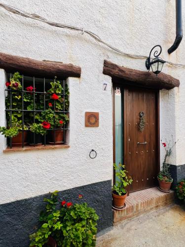 a house with two windows with potted plants and a door at Apartamento los tinaos in Pitres