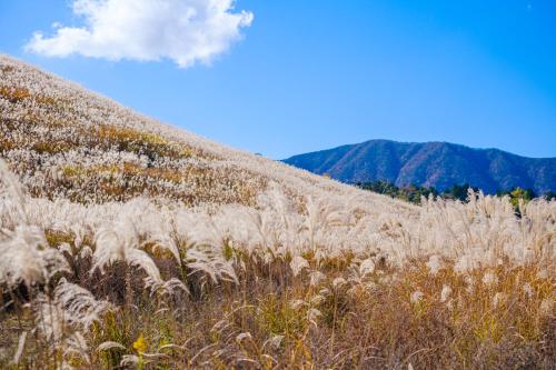 ヴィラの近くで見られる自然の景観