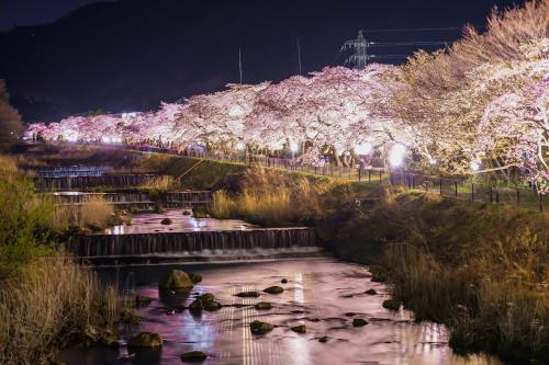 ヴィラの近くで見られる自然の景観