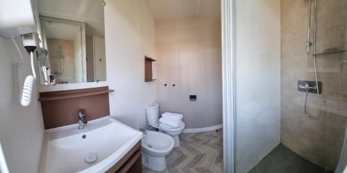 a bathroom with a toilet and a sink and a shower at Agriturismo Su Canonigu in Tortolì