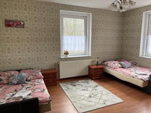 1 Schlafzimmer mit 2 Betten und 2 Fenstern in der Unterkunft Noclegi w Bardzie in Bardo