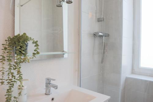 une salle de bain avec un lavabo et une douche dans l'établissement LE FUNNY, Mulhouse centre, à Mulhouse