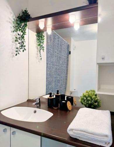 une salle de bain avec un lavabo et un grand miroir dans l'établissement Charming & Cosy Apartment - 10mn from Disneyland, à Bussy-Saint-Georges