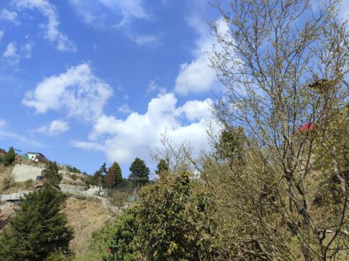 a view of a hill with trees and a house at The Kiana's in Mussoorie