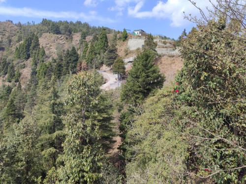 a winding road on a hill with trees at The Kiana's in Mussoorie