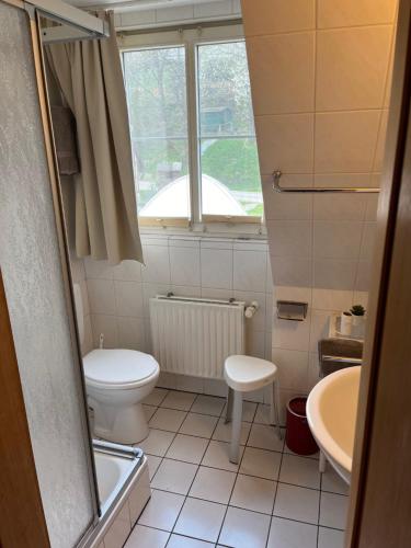 Ferienhof Kotthoff am Hennesee في ميشيده: حمام مع مرحاض ومغسلة ونافذة