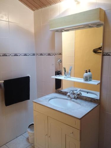 une salle de bain avec un lavabo et un miroir dans l'établissement Gite de la melisse, à Lairière