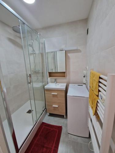 une petite salle de bain avec un lavabo et une douche dans l'établissement Rez-de-jardin sous pins et plage, à Saint-Mandrier-sur-Mer