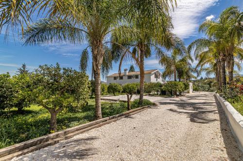 Ayma Villa Los Naranjos