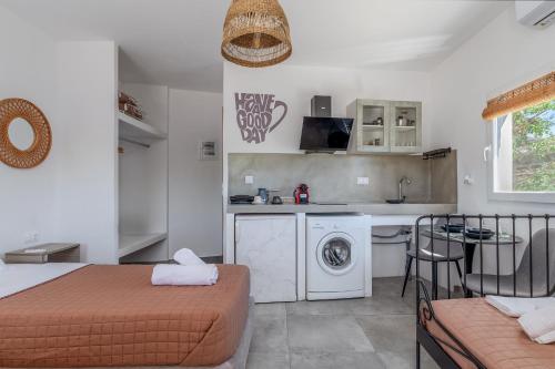 アギオス・ソスティスにあるKleris Apartment 9 Tinosのギャラリーの写真