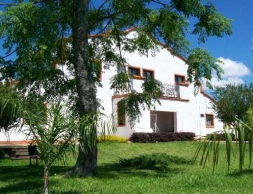 a white house with a tree in front of it at Hotel La Posta del Dayman in Termas del Daymán