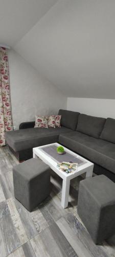 a living room with a couch and a coffee table at Drinska Idila apartmani in Vrhpolje