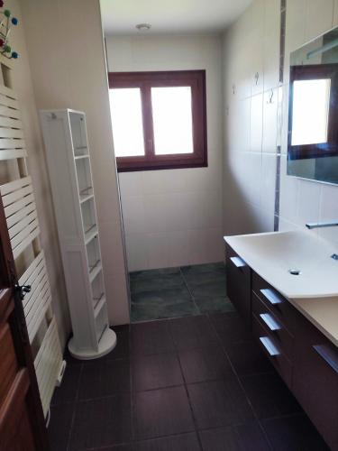 une salle de bain avec un lavabo et une douche avec une fenêtre dans l'établissement Maison de la famille et des amis, à Biscarrosse