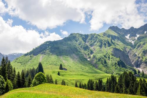 a green hillside with mountains in the background at Lisas Schröcken in Schröcken